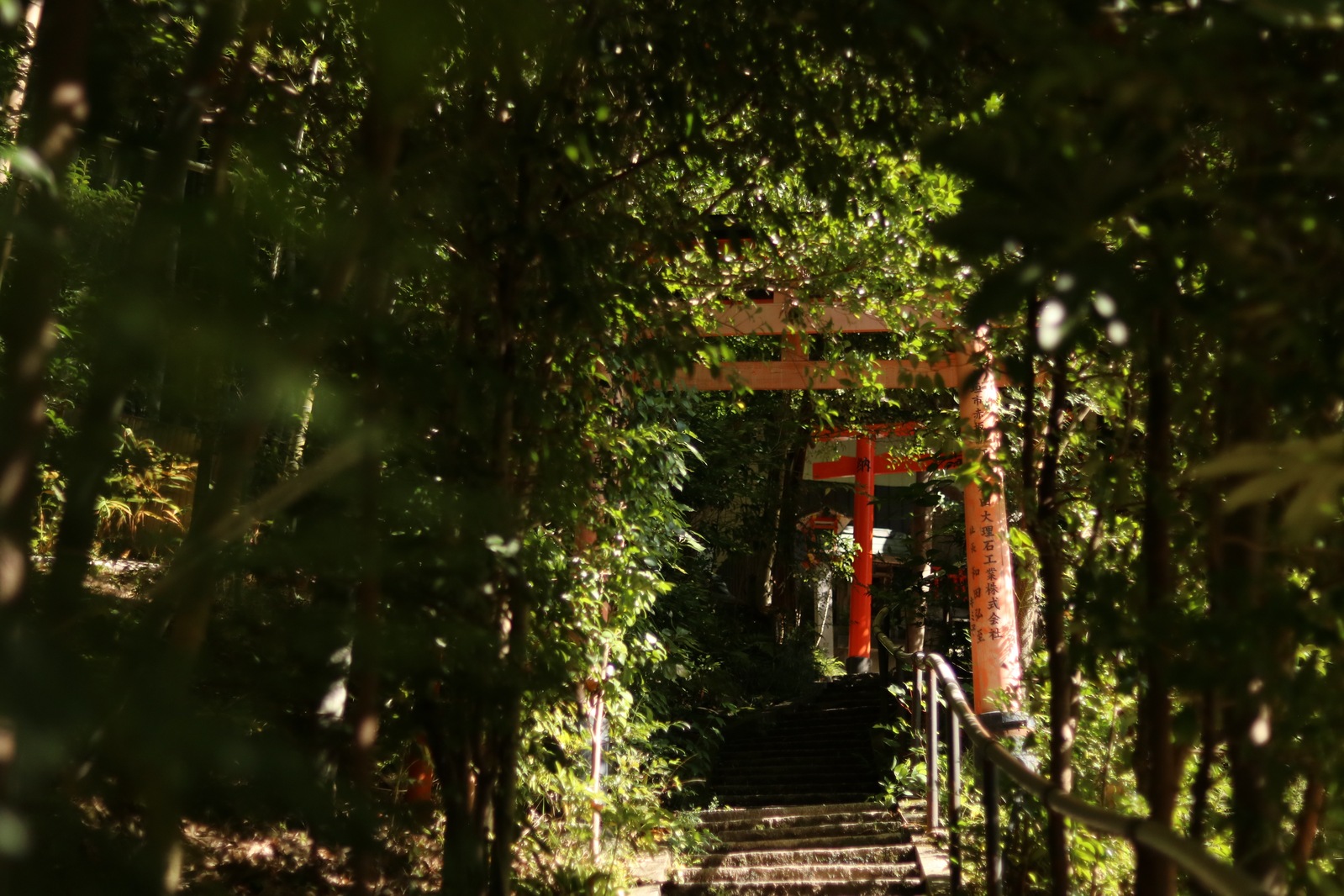 Уже моя фотография тропинки сквозь листву. <a href="https://maps.app.goo.gl/2mBegb4HsnzDFBiP7?g_st=ic">Недалеко</a> от храма Fushimi Inari в Киото