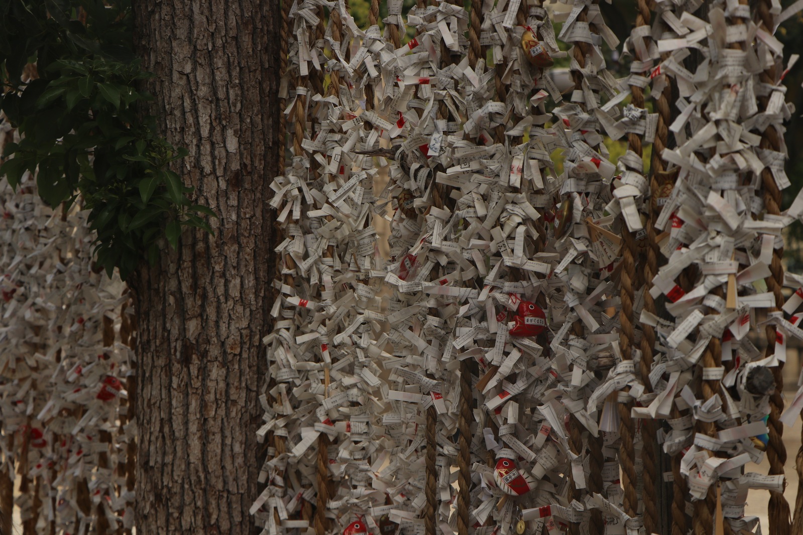 Стена хреновых пожеланий. Видимо, люди массово недовольны своей судьбой