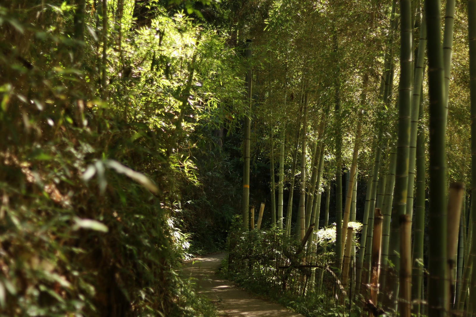 Вот таким нам запомнился Киото — как эта фотография