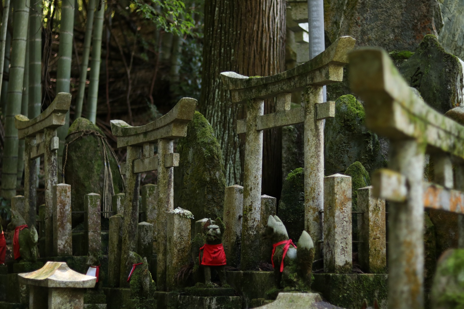 Один из главных элементов синтоизма — тори, врата. Это переход из мира живых в мир ками, духов