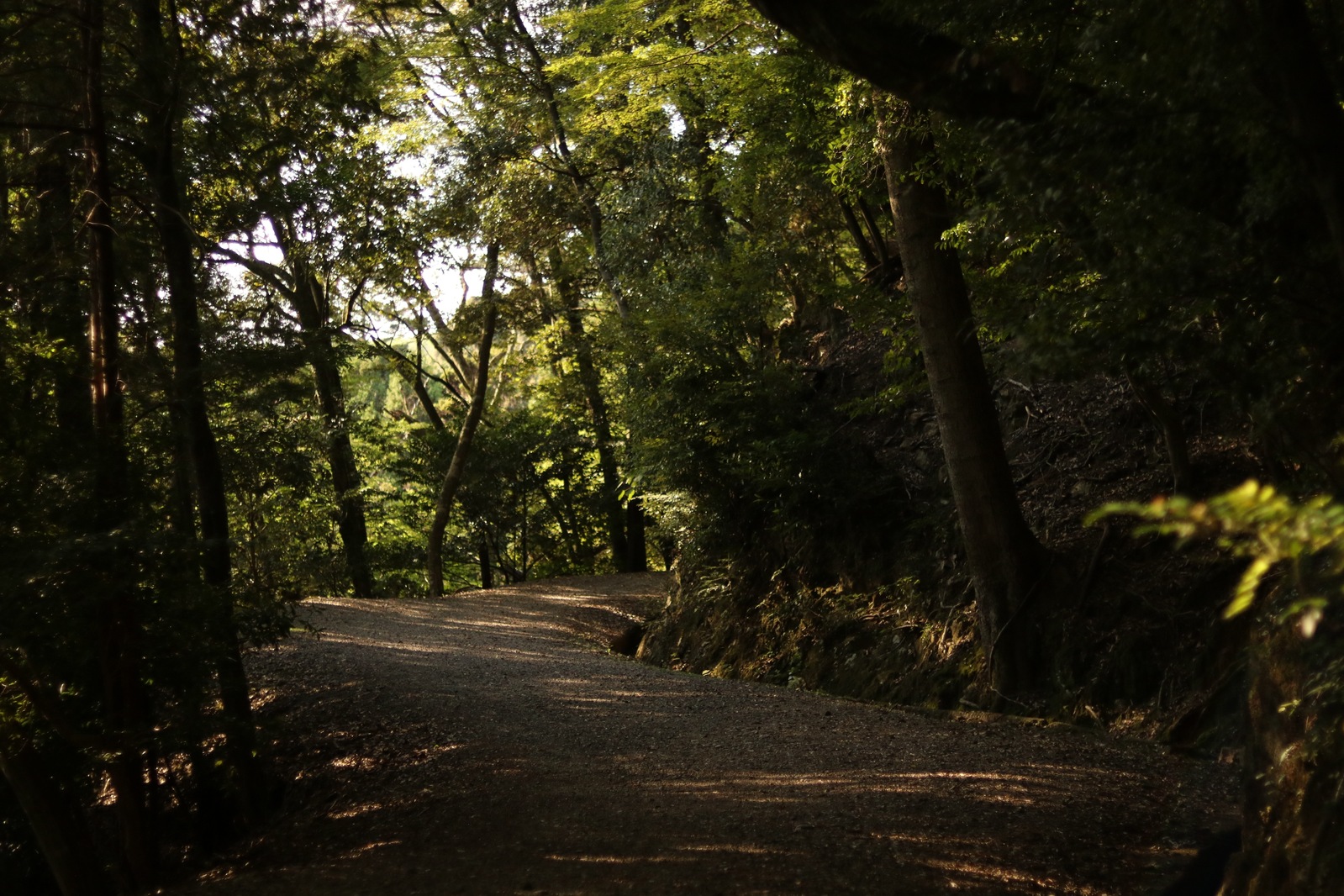 Бесплатная тропинка на вершину местной горы, фото <a href="https://maps.app.goo.gl/6GNr6oEgwHC19WZE7">примерно тут</a>