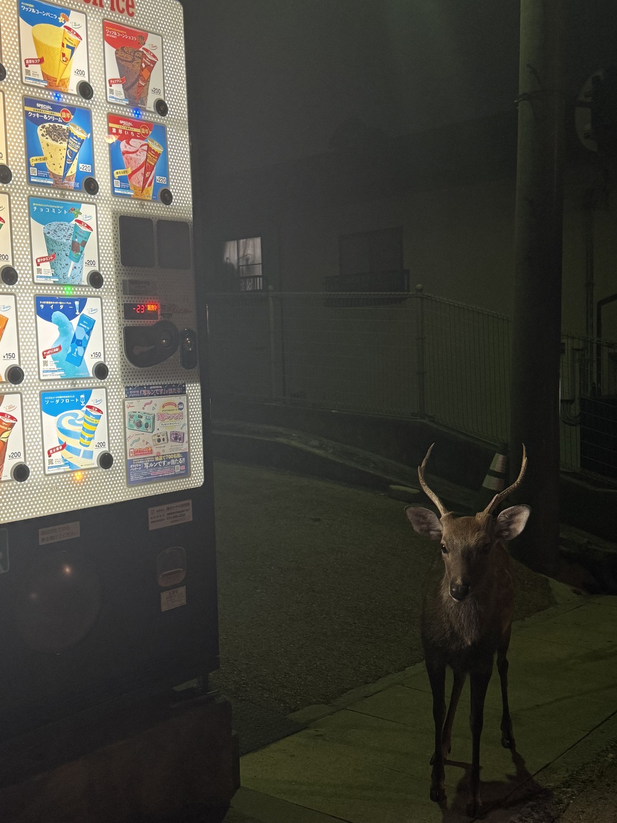 Бу, испугался? Не бойся, я друг, я тебя максимум копытом и рогами