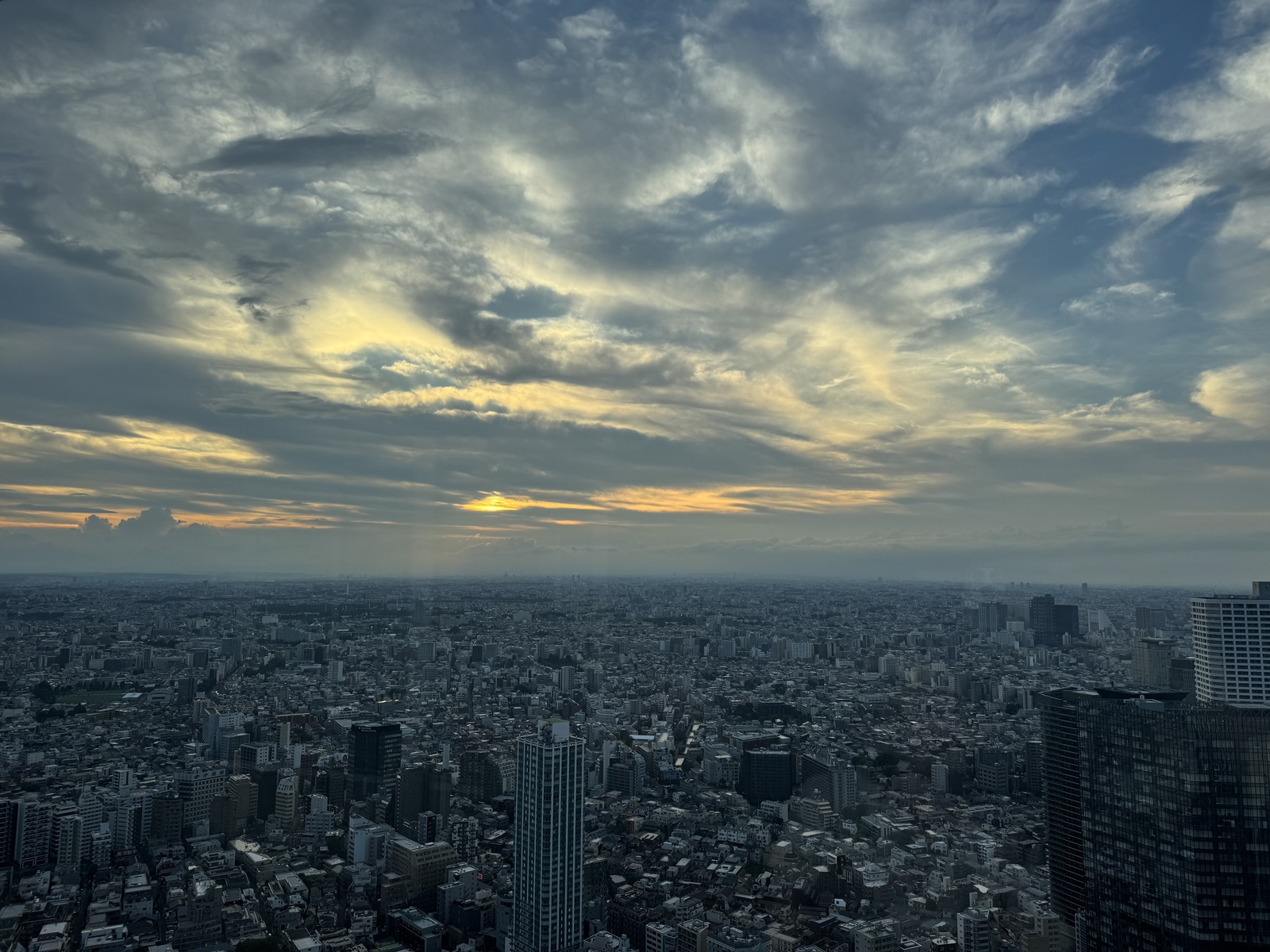 Вид c <a href="https://maps.app.goo.gl/R3bmV2zkLgM1E7dV6">Tokyo Metropolitan Government Building</a> — это крутая и бесплатная смотровая. В погоду получше отсюда можно даже Фудзи увидеть