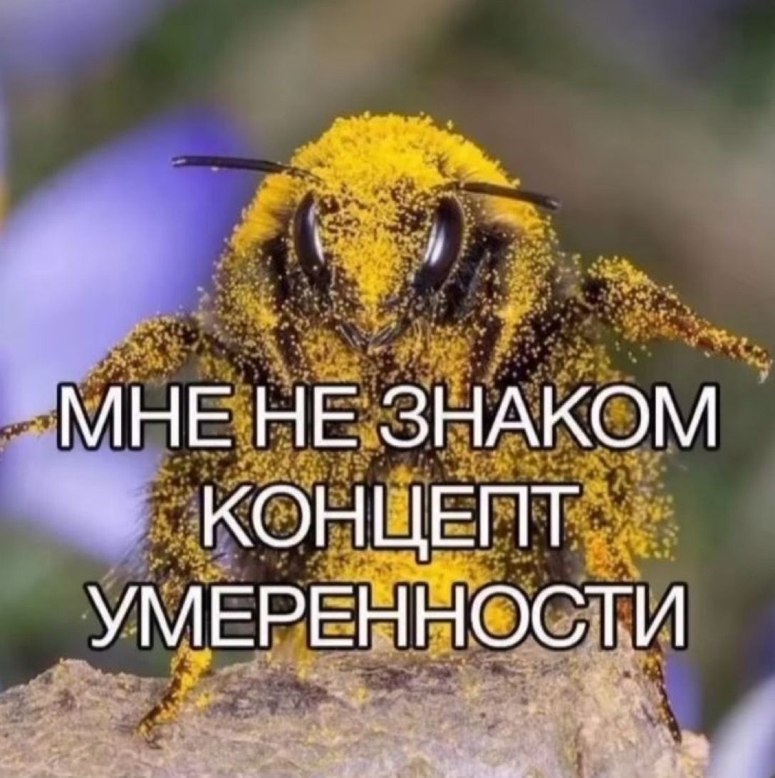 Буквально я под конец 2024 года