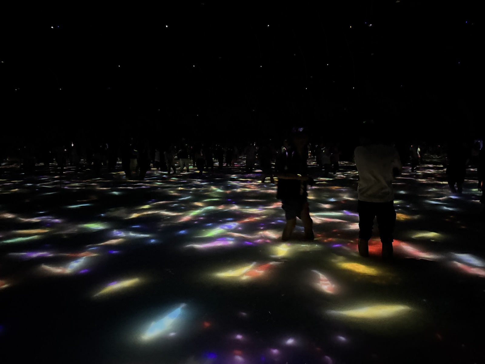 А если тыкнуть в рыбу рукой, она распадется на лепестки сакуры!