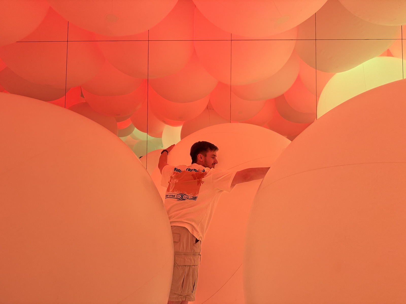 Нашел мягкий шарик и улёгся