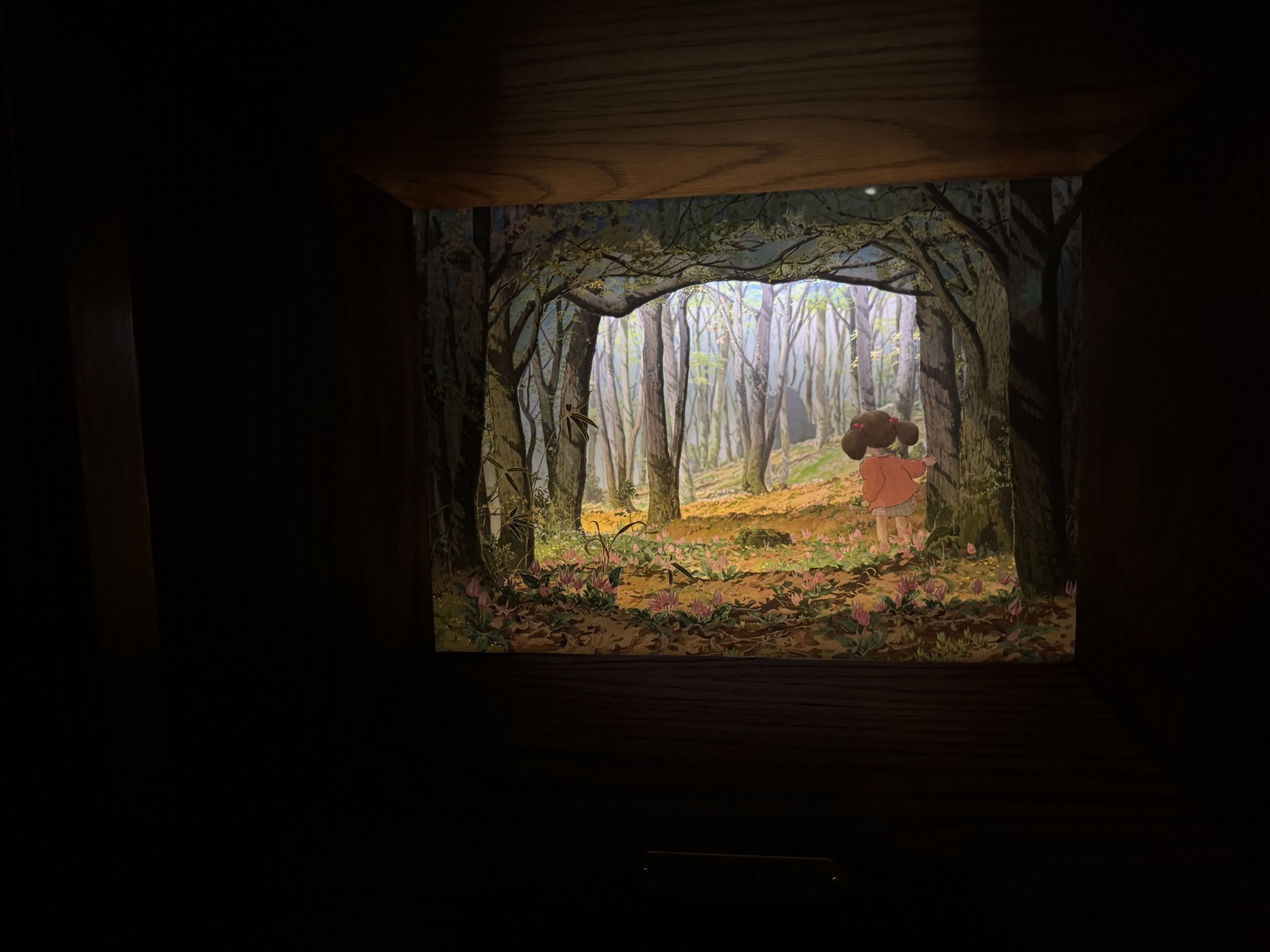 Лайфхаки от Миядзаки, сфотканные исподтишка